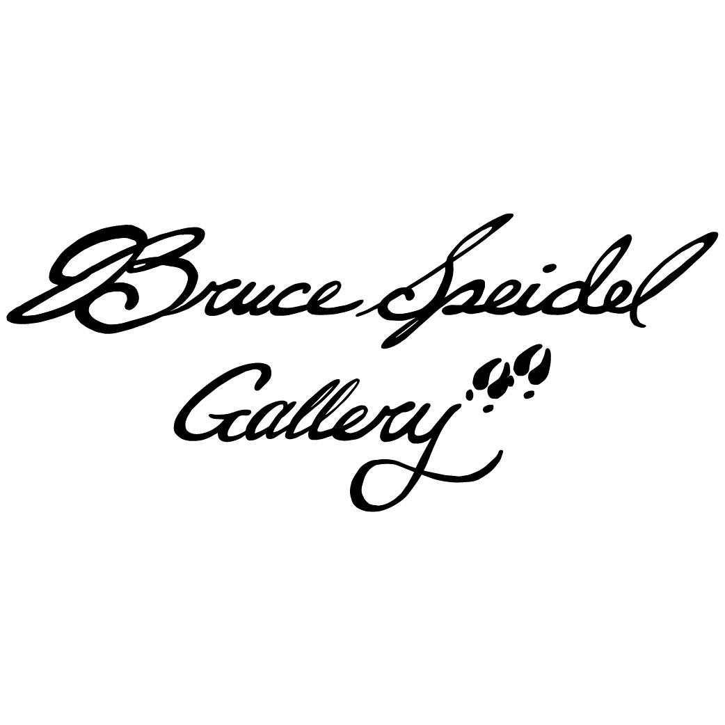 Bruce Speidel Gallery