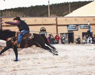 Skijoring
