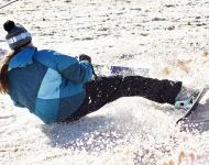 Skijoring
