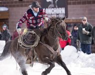 Skijoring