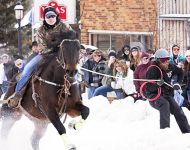 Skijoring
