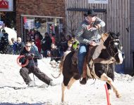Skijoring
