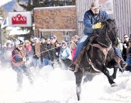 Skijoring