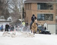 WINTERFEST2015 274-T