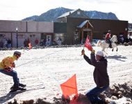Skijoring 2017