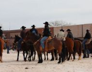 Getting Ready for Skijoring