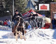 Skijoring