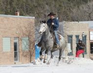 WINTERFEST2015 027-T