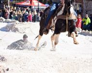 Wild horse & tube race