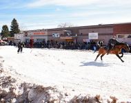 Skijoring