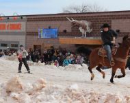 2016 Winter Festival Skijoring