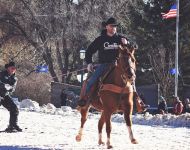 Skijoring