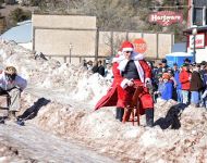Barstool Races