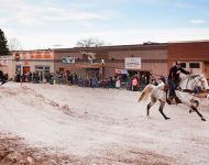 Skijoring
