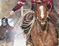 Skijoring