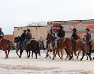 Getting Ready for Skijoring
