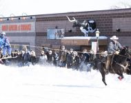 Skijoring