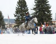 WINTERFEST2015 280-T