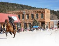 Skijoring