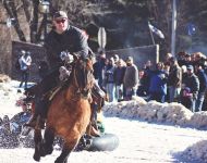 Wild horse & tubing race