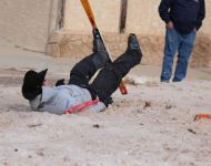 Skijoring Spill