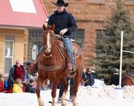 Winter Festival Skijoring