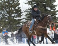 Skijoring