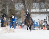 WINTERFEST2015 257-T