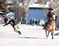 Skijoring