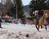 Winter Festival 2016