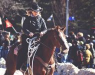 Skijoring