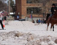 Winter Festival 2016