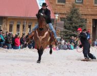 Snowboarding Skijoring
