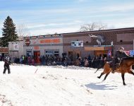 Skijoring