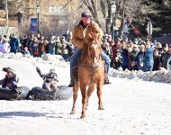Wild horse & tube race