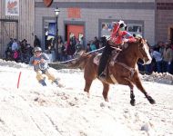 Skijoring