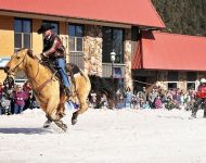 Skijoring