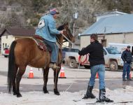 2016 Winter Festival Skijoring