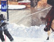 Skijoring