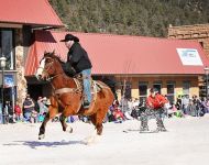 Skijoring