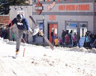 Skijoring - Wipeout