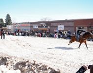 Skijoring