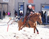 Skijoring - Wipeout