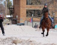 2016 Winter Festival Skijoring