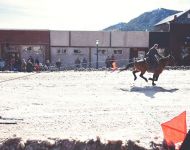 Skijoring