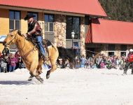 Skijoring