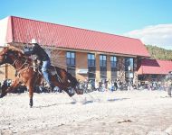 Skijoring